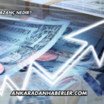 Arızi Kazanç Nedir?