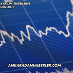 Artemis Halı Katılım Endeksine Uygun mu?