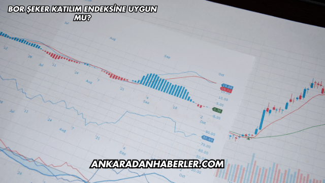 Bor Şeker Katılım Endeksine Uygun mu?