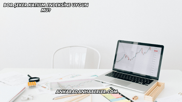 Bor Şeker Katılım Endeksine Uygun mu?