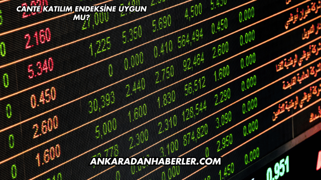 CANTE Katılım Endeksine Uygun mu?
