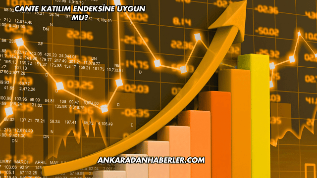 CANTE Katılım Endeksine Uygun mu?