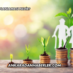 Emeklilik Planlaması Nedir?