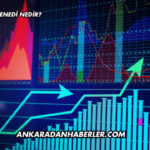 CANTE Katılım Endeksine Uygun mu?