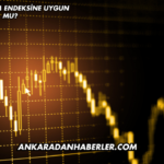 Limak Katılım Endeksine Uygun mu?