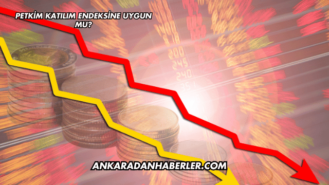 Petkim Katılım Endeksine Uygun mu?
