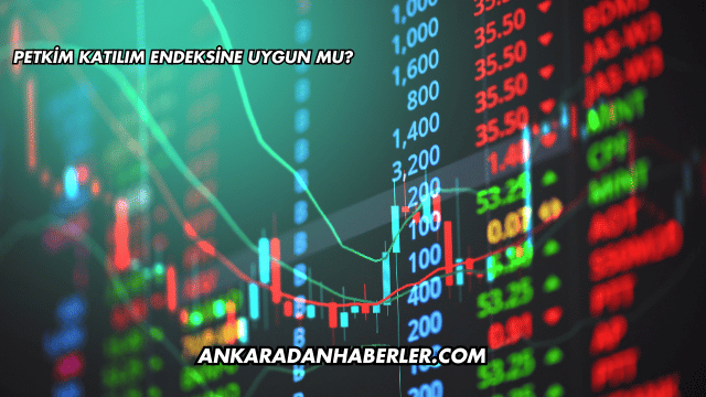 Petkim Katılım Endeksine Uygun mu?