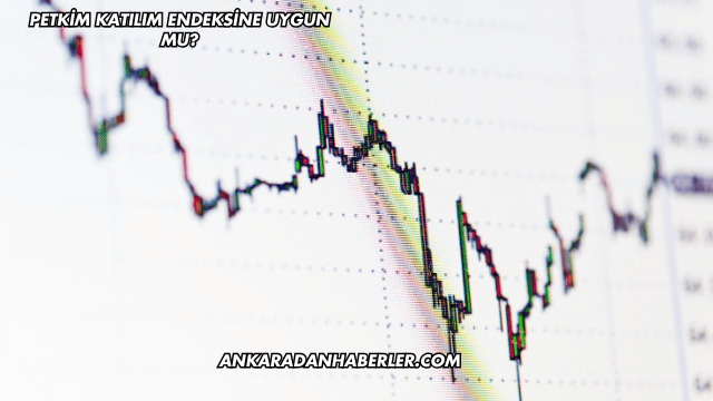 Petkim Katılım Endeksine Uygun mu?