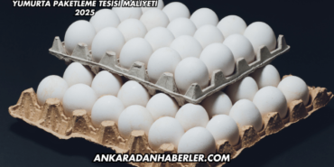 Yumurta Paketleme Tesisi Maliyeti 2025