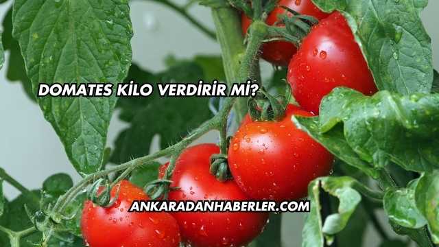 Domates Kilo Verdirir mi?